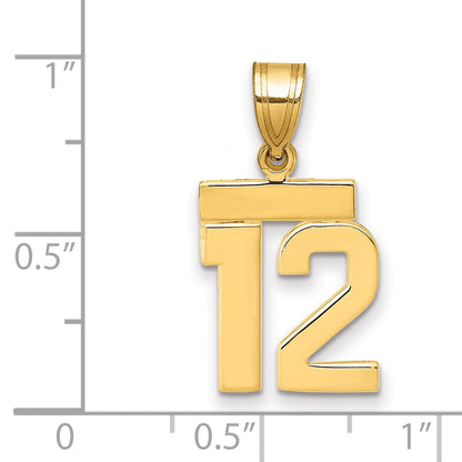 10K Yellow Gold Small Polished Number 12 Charm