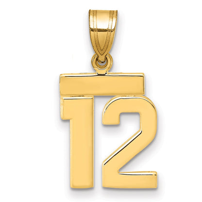 10K Yellow Gold Small Polished Number 12 Charm