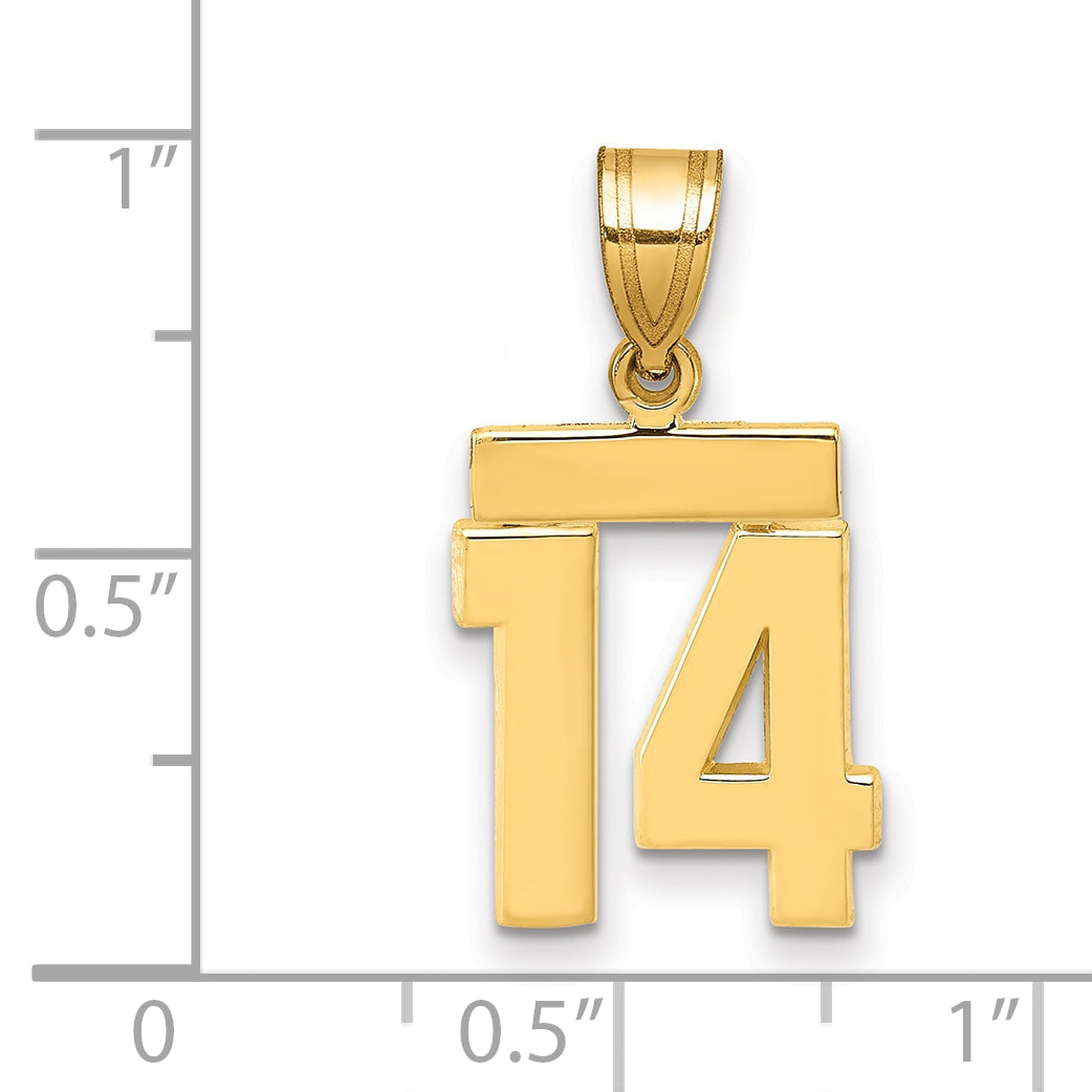 10K Yellow Gold Small Polished Number 14 Charm