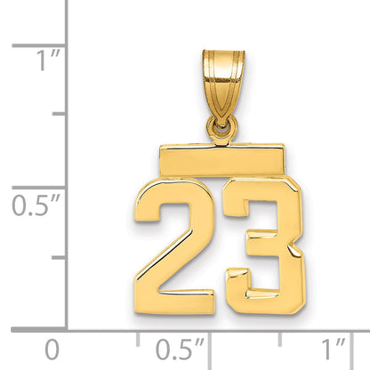 10K Yellow Gold Small Polished Number 23 Charm