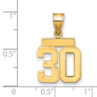 10K Yellow Gold Small Polished Number 30 Charm