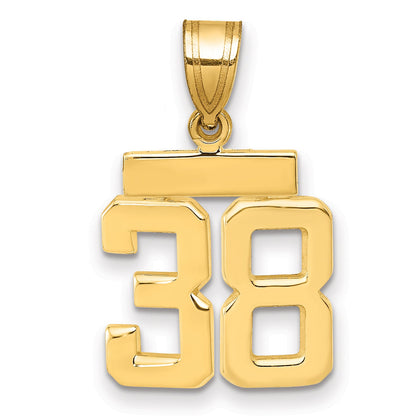 10K Yellow Gold Small Polished Number 38 Charm