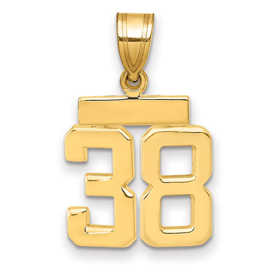 10K Yellow Gold Small Polished Number 38 Charm