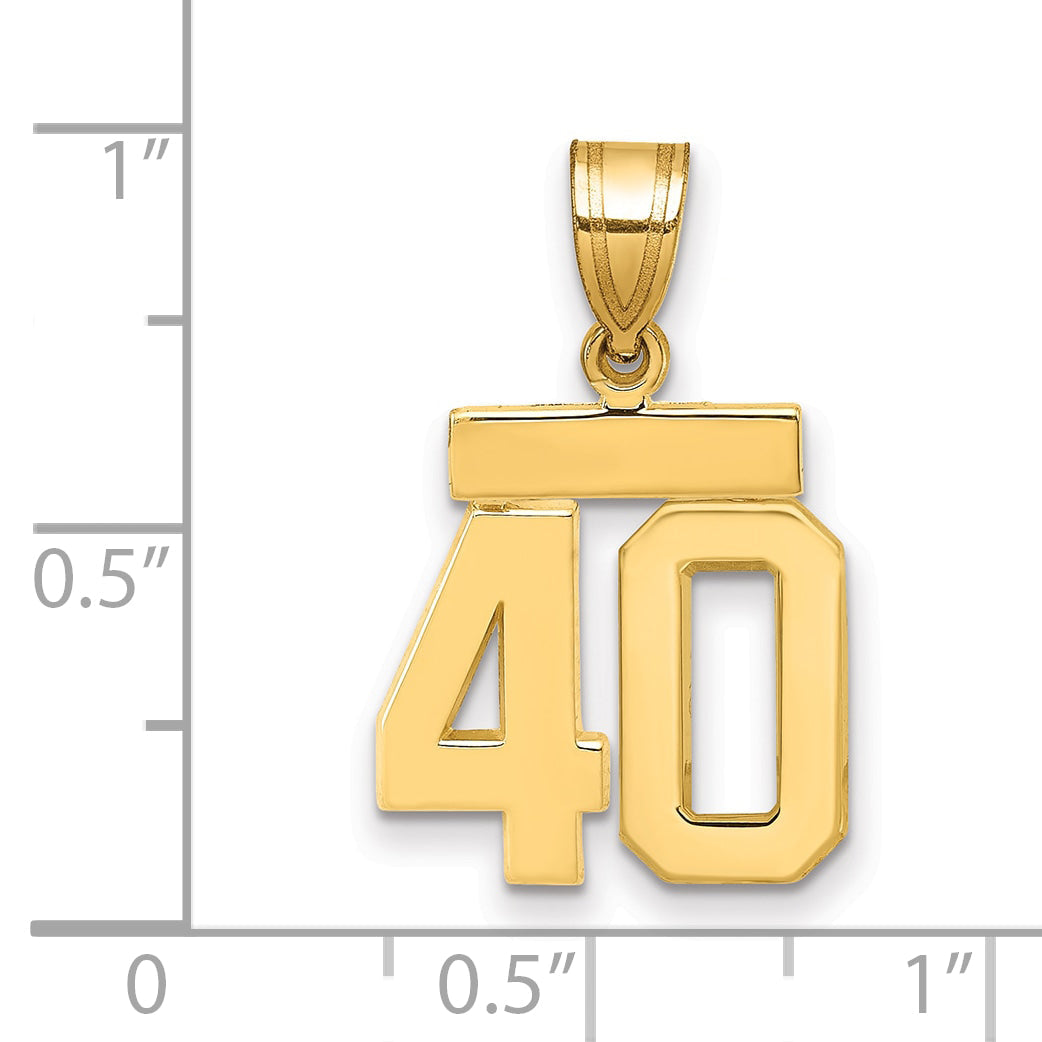 10K Yellow Gold Small Polished Number 40 Charm