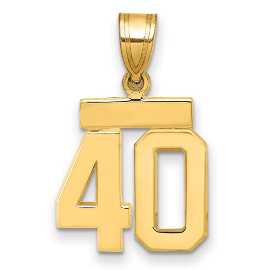 10K Yellow Gold Small Polished Number 40 Charm