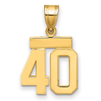 10K Yellow Gold Small Polished Number 48 Charm