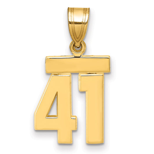 10K Yellow Gold Small Polished Number 41 Charm