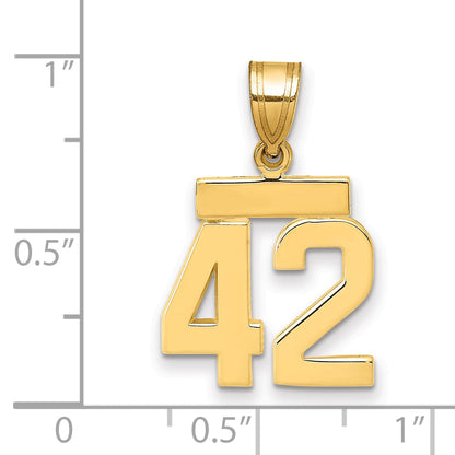 10K Yellow Gold Small Polished Number 42 Charm