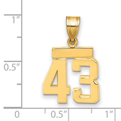 10K Yellow Gold Small Polished Number 43 Charm