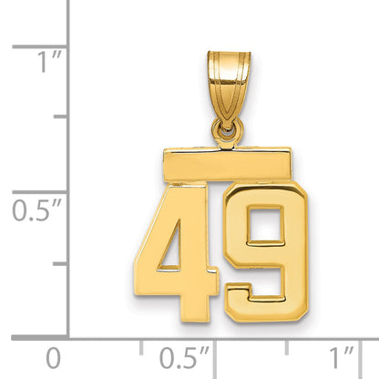10K Yellow Gold Small Polished Number 49 Charm