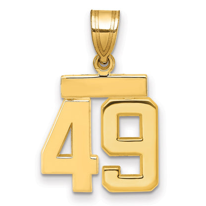 10K Yellow Gold Small Polished Number 49 Charm