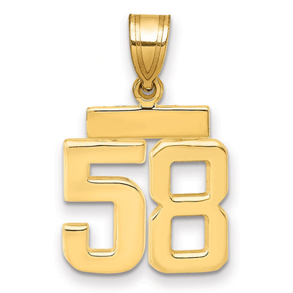 10K Yellow Gold Small Polished Number 58 Charm