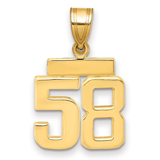 10K Yellow Gold Small Polished Number 58 Charm
