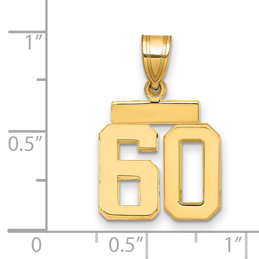 10K Yellow Gold Small Polished Number 60 Charm