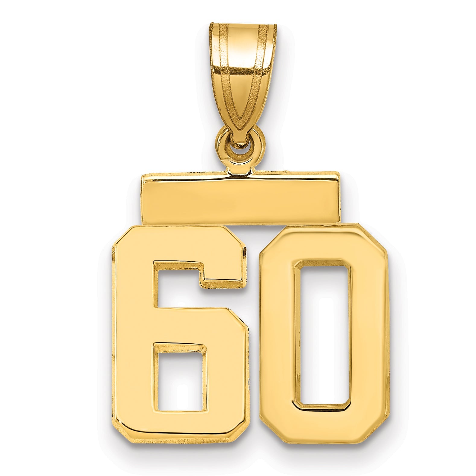 10K Yellow Gold Small Polished Number 60 Charm