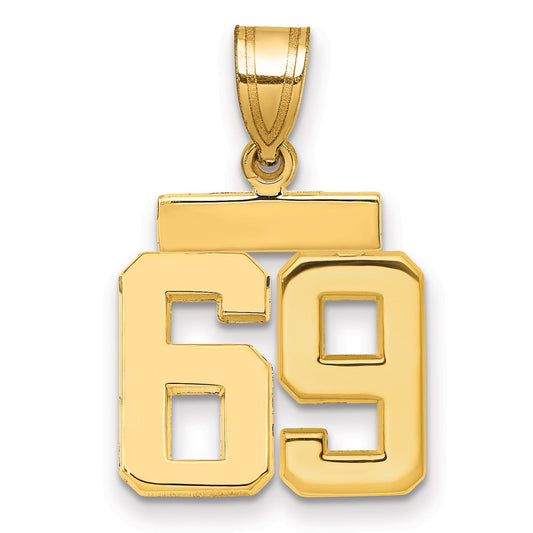 10K Yellow Gold Small Polished Number 69 Charm