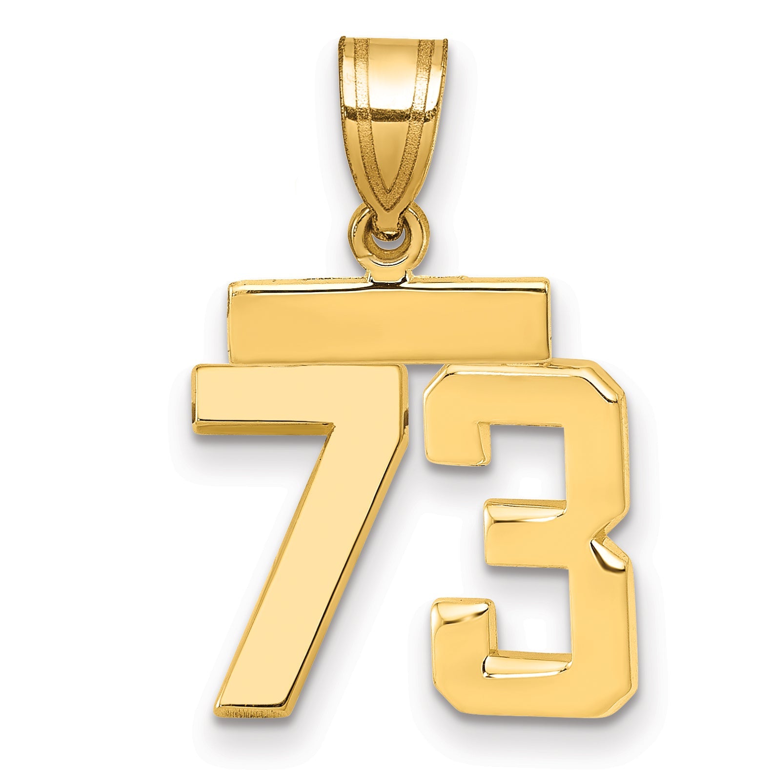 10K Yellow Gold Small Polished Number 73 Charm