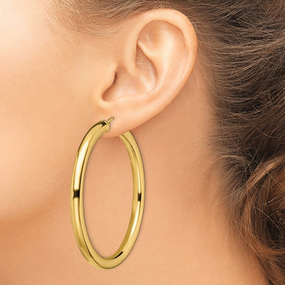 Stainless Steel Chisel Polished Yellow Ip-Plated Hoop Earrings