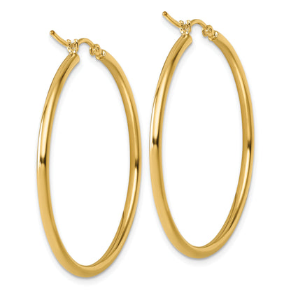 10K Yellow Gold Polished Hinged Hoop Earrings