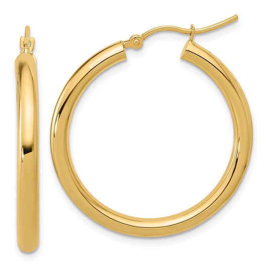 10K Yellow Gold Polished Hinged Hoop Earrings