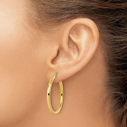 10K Yellow Gold Polished Hinged Hoop Earrings