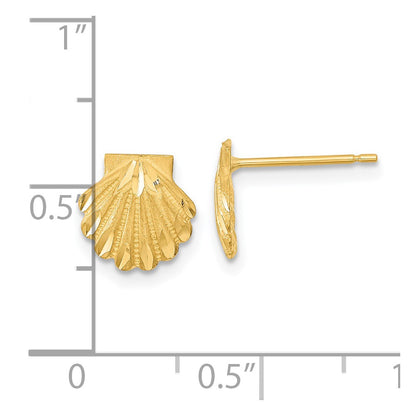 14K Yellow Gold Satin Diamond-Cut Seashell Post Earrings