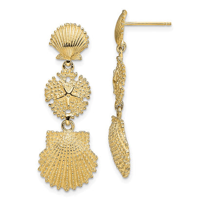 14K Yellow Gold Scallop, Sand Dollar,,Scallop Dangle Earrings