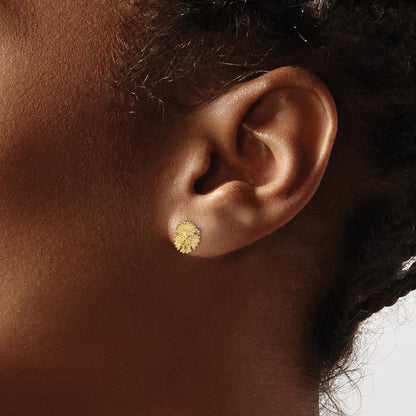 14K Yellow Gold Textured Sand Dollar Post Earrings