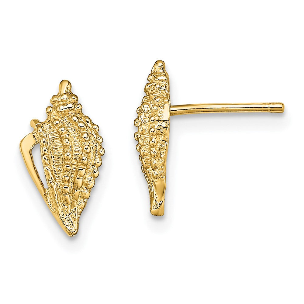 14K Yellow Gold Mini Conch Shell Post Earrings
