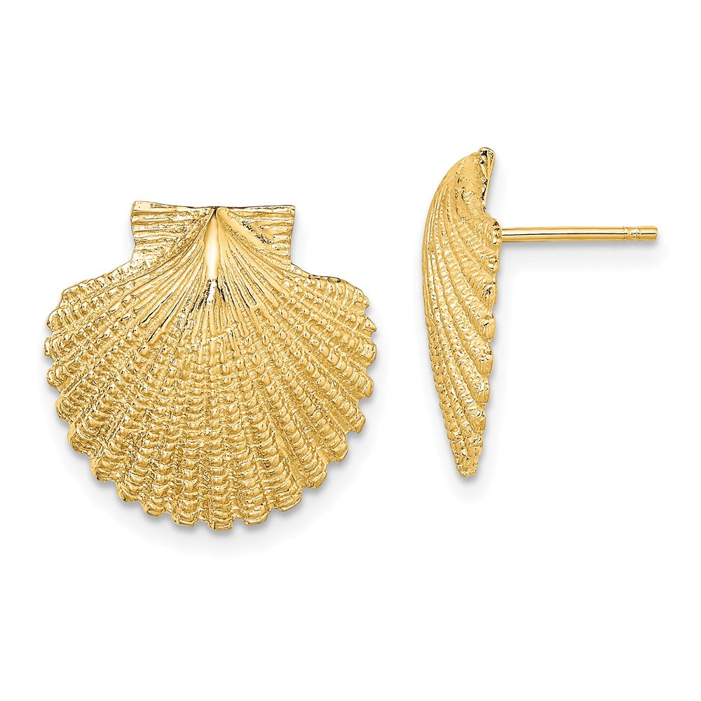 14K Yellow Gold 2-D Textured Scallop Shell Post Earrings