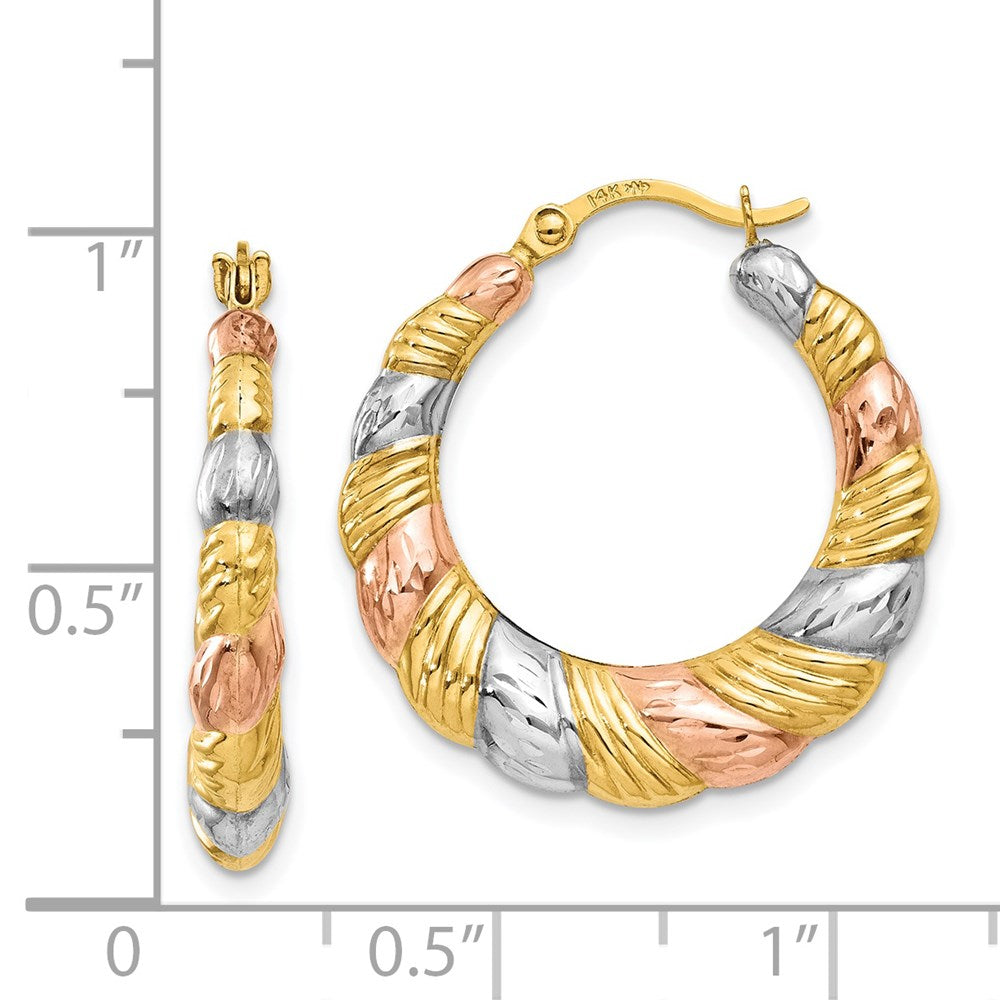 14K Yellow & Rhodium White And Rose Hollow Scalloped Hoop Earrings