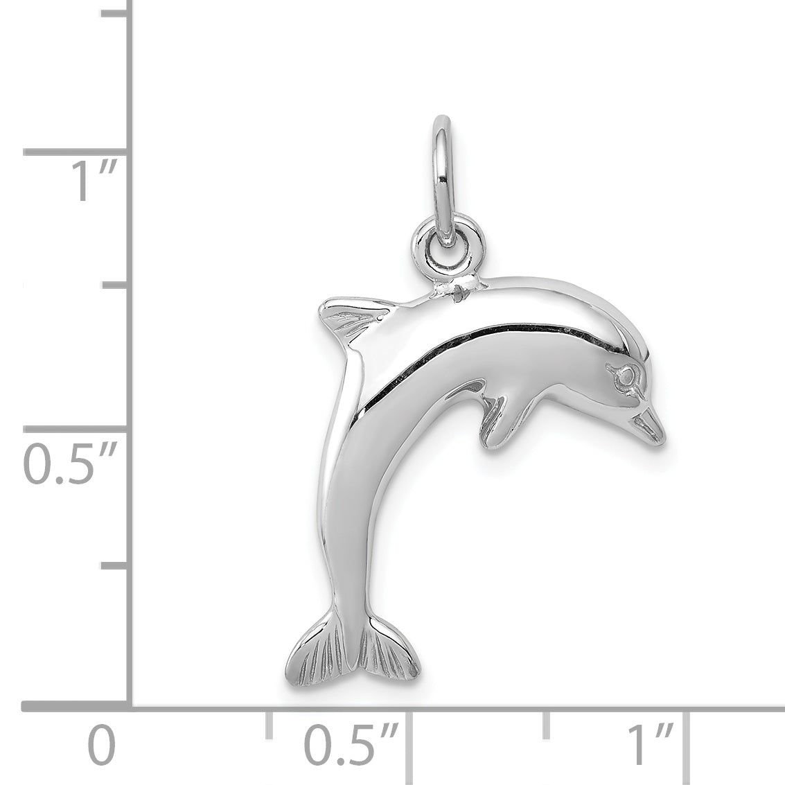 14K White Gold Dolphin Charm