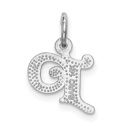 14K White Gold 14Kw Diamond-Cut Letter P Initial Charm
