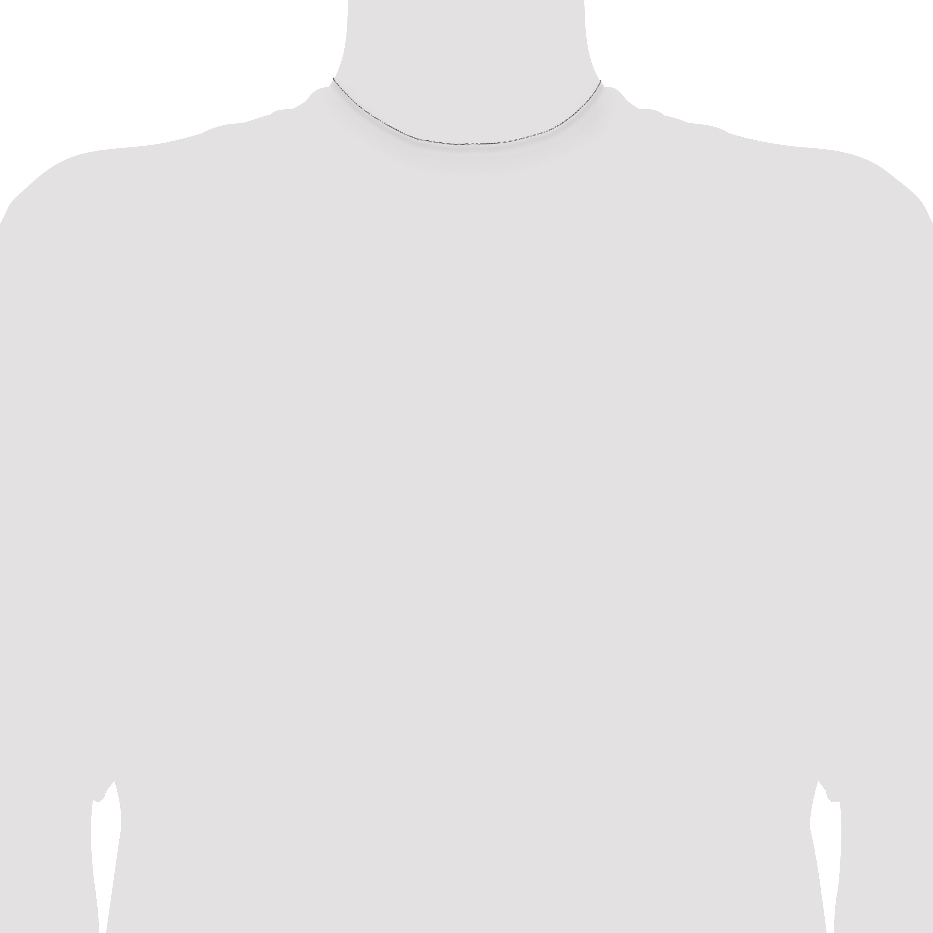 14K White Gold 14 Inch .5mm Box With Lobster Clasp Chain Necklace