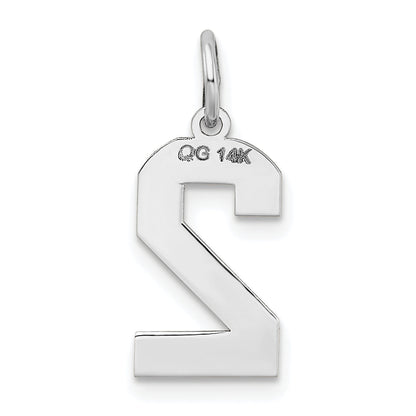 14k White Gold 14kw Medium Satin Number 2 Charm