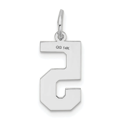 14k White Gold 14kw Medium Satin Number 5 Charm