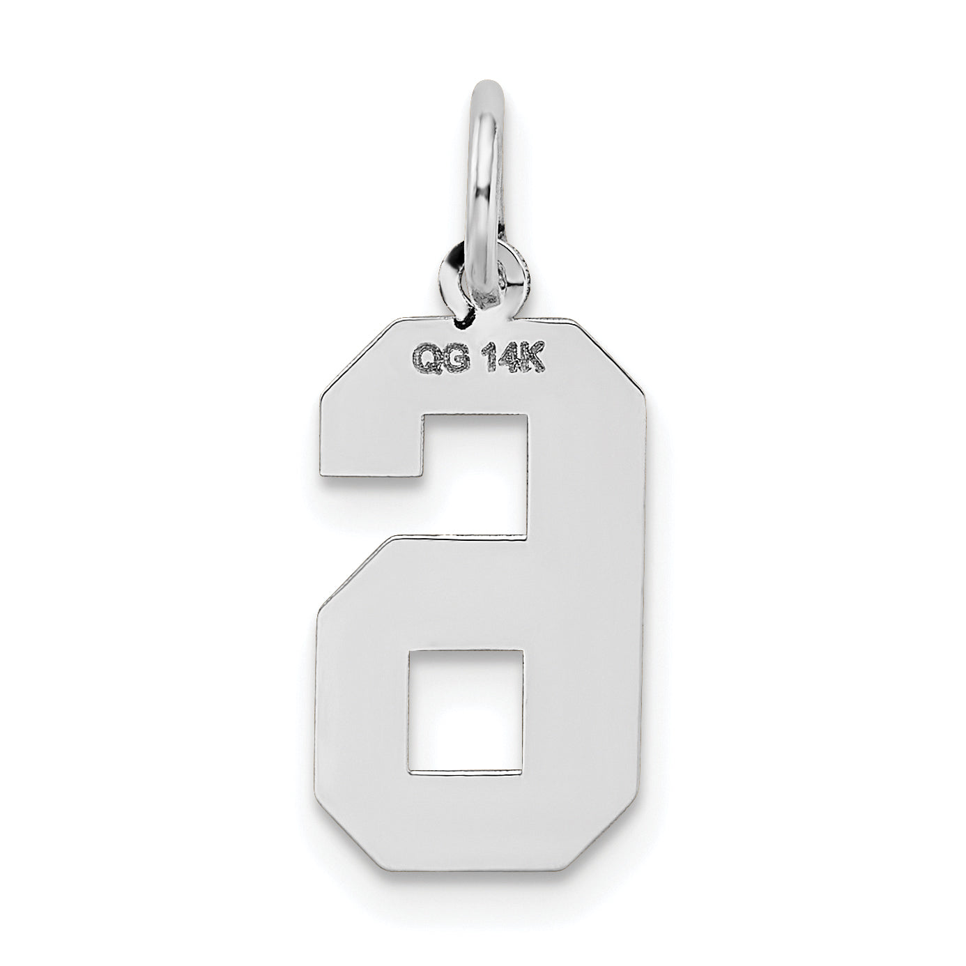 14k White Gold 14kw Medium Satin Number 6 Charm