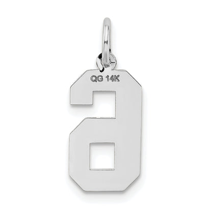 14k White Gold 14kw Medium Satin Number 6 Charm