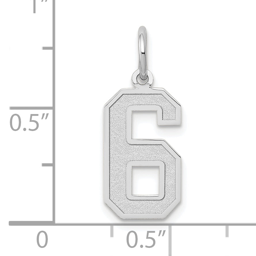 14k White Gold 14kw Medium Satin Number 6 Charm