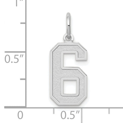 14k White Gold 14kw Medium Satin Number 6 Charm
