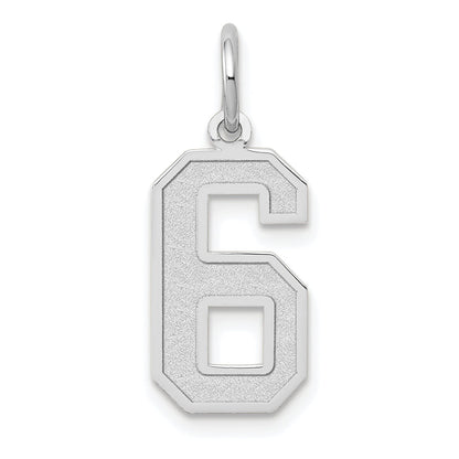 14k White Gold 14kw Medium Satin Number 6 Charm