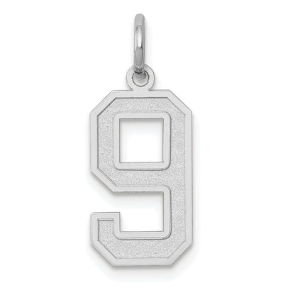 14k White Gold 14kw Medium Satin Number 9 Charm