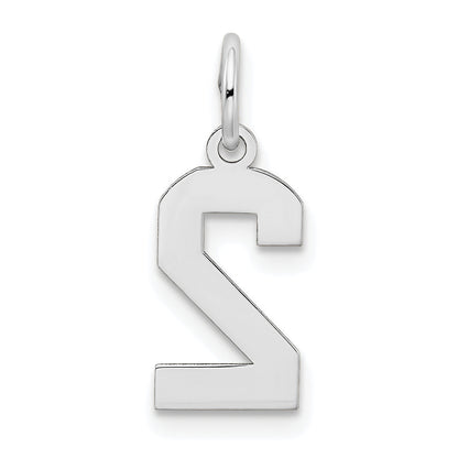 14k White Gold 14kw Small Satin Number 2 Charm