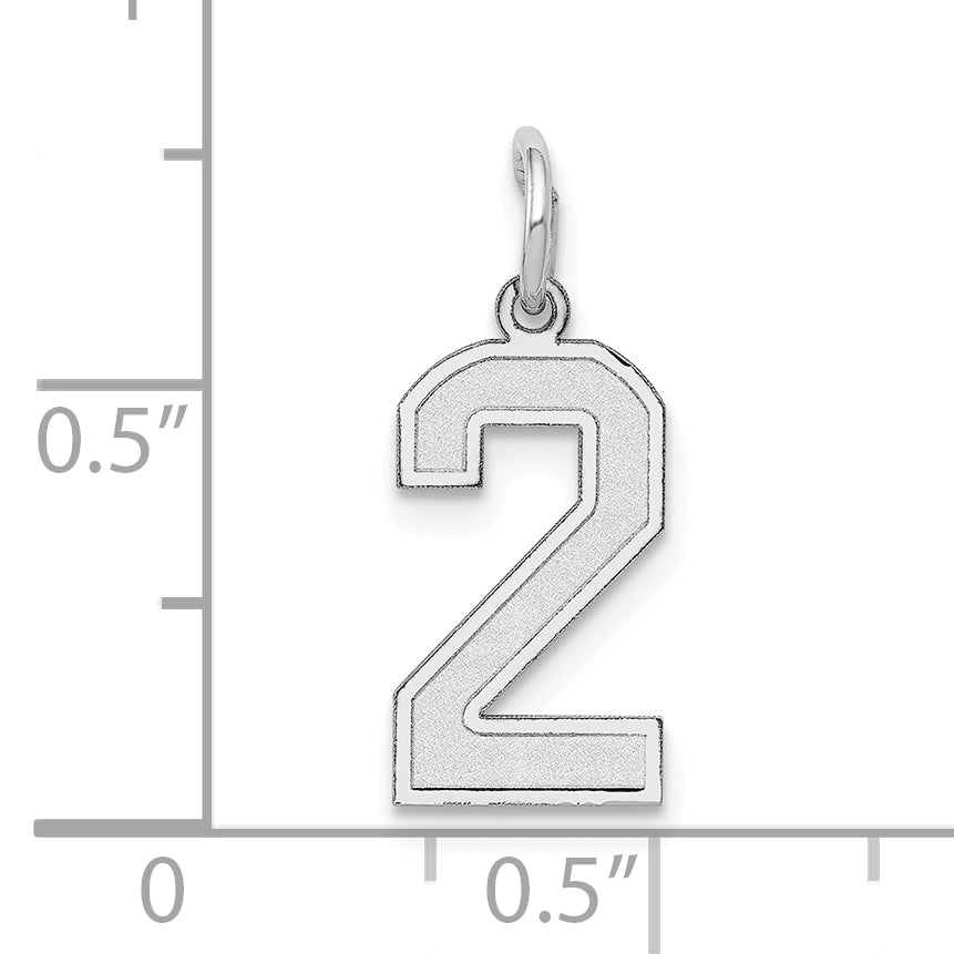 14k White Gold 14kw Small Satin Number 2 Charm
