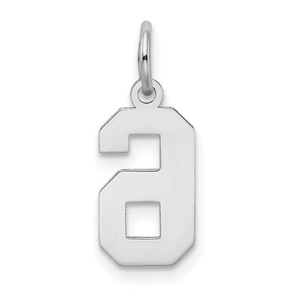 14k White Gold 14kw Small Satin Number 6 Charm