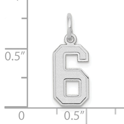 14k White Gold 14kw Small Satin Number 6 Charm