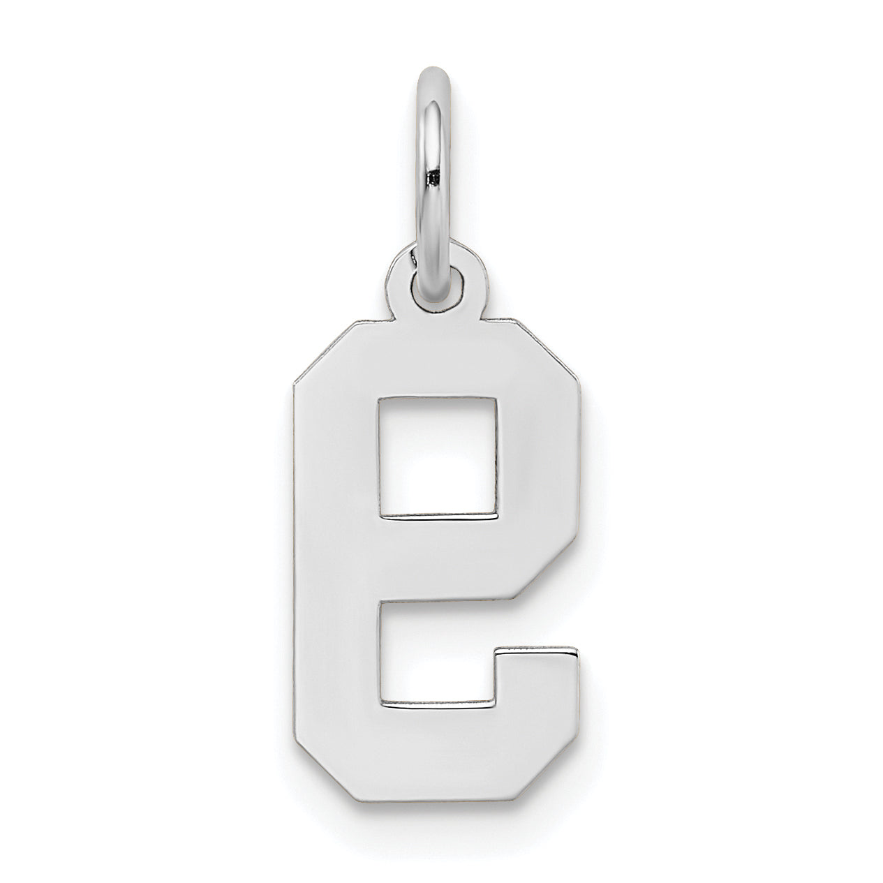 14k White Gold 14kw Small Satin Number 9 Charm