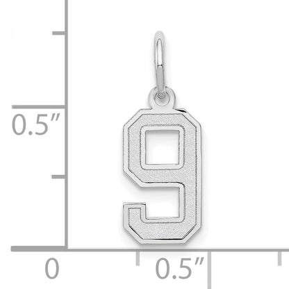 14k White Gold 14kw Small Satin Number 9 Charm