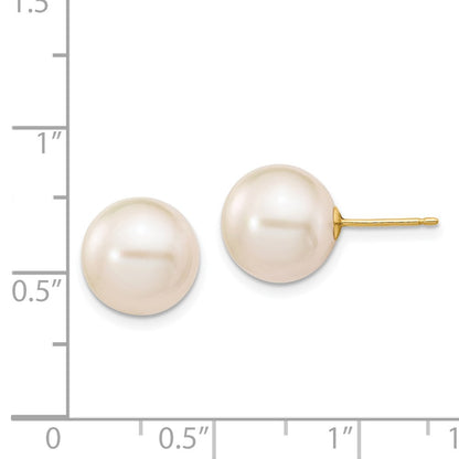 14K Yellow Gold 10 11mm White Round Freshwater Cultured Pearl Stud Post Earrings