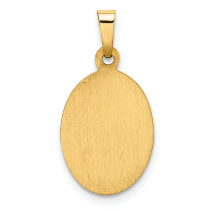 14k Yellow Gold 14k Hollow Our Lady Of Guadalupe Medal Charm